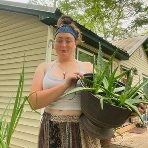 🧡🍄🌼Hi I’m blue jay🌼🍄🧡